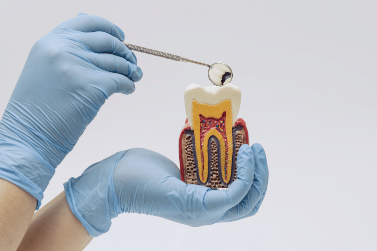 Featured image for “Tooth Regeneration and Future Dental Science: How Scientists Are Working to Regrow Your Teeth”